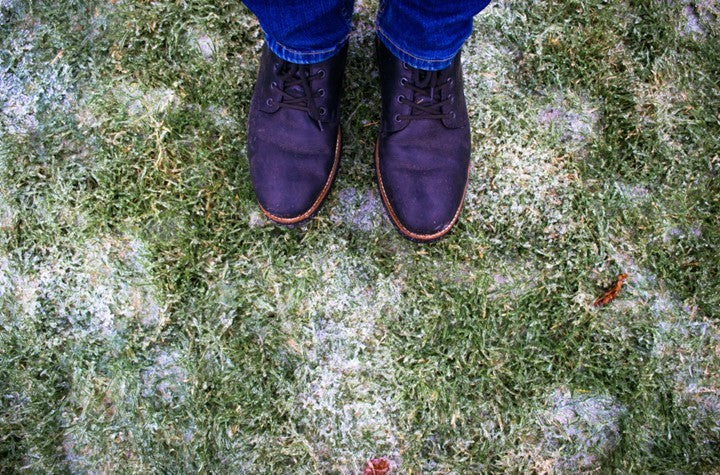 Why do my weeds grow in the winter but not my grass?