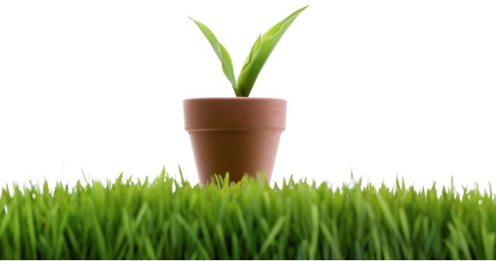 What is ByoSpxtrum™ ?