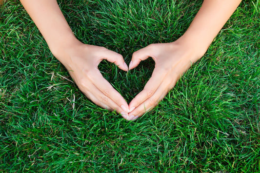 Why choose Greenup for your fertilizing needs?