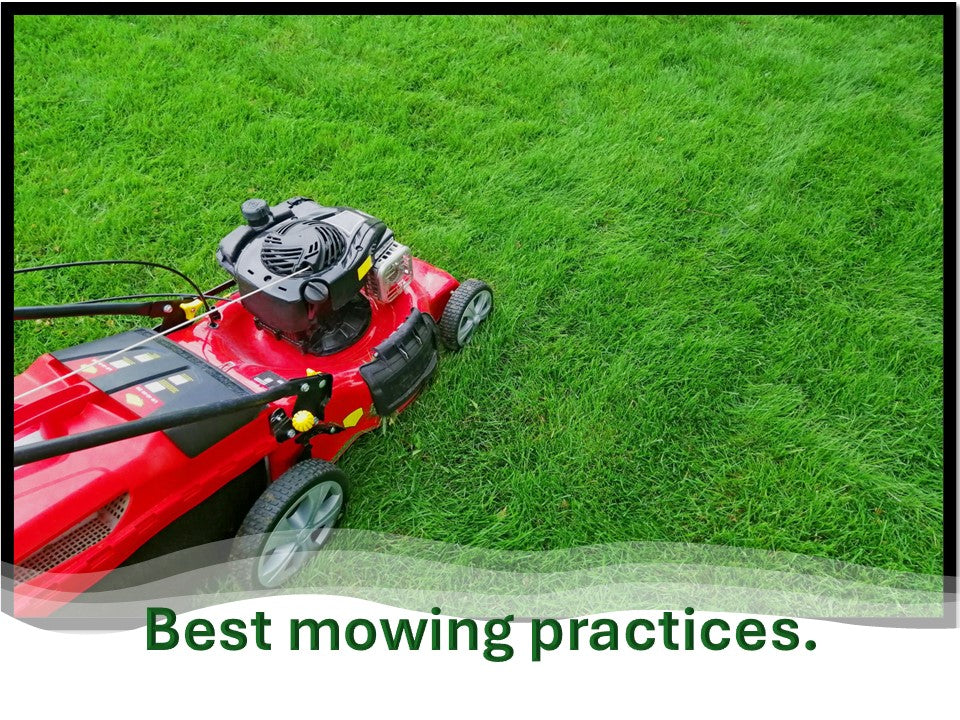 What are the BEST mowing practices?