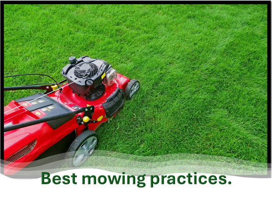 What are the BEST mowing practices?