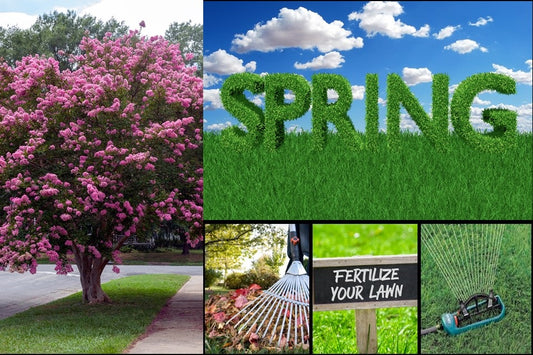 Getting your lawn and shrubs ready for spring.