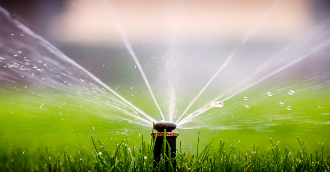 How much should I water my lawn in the winter?