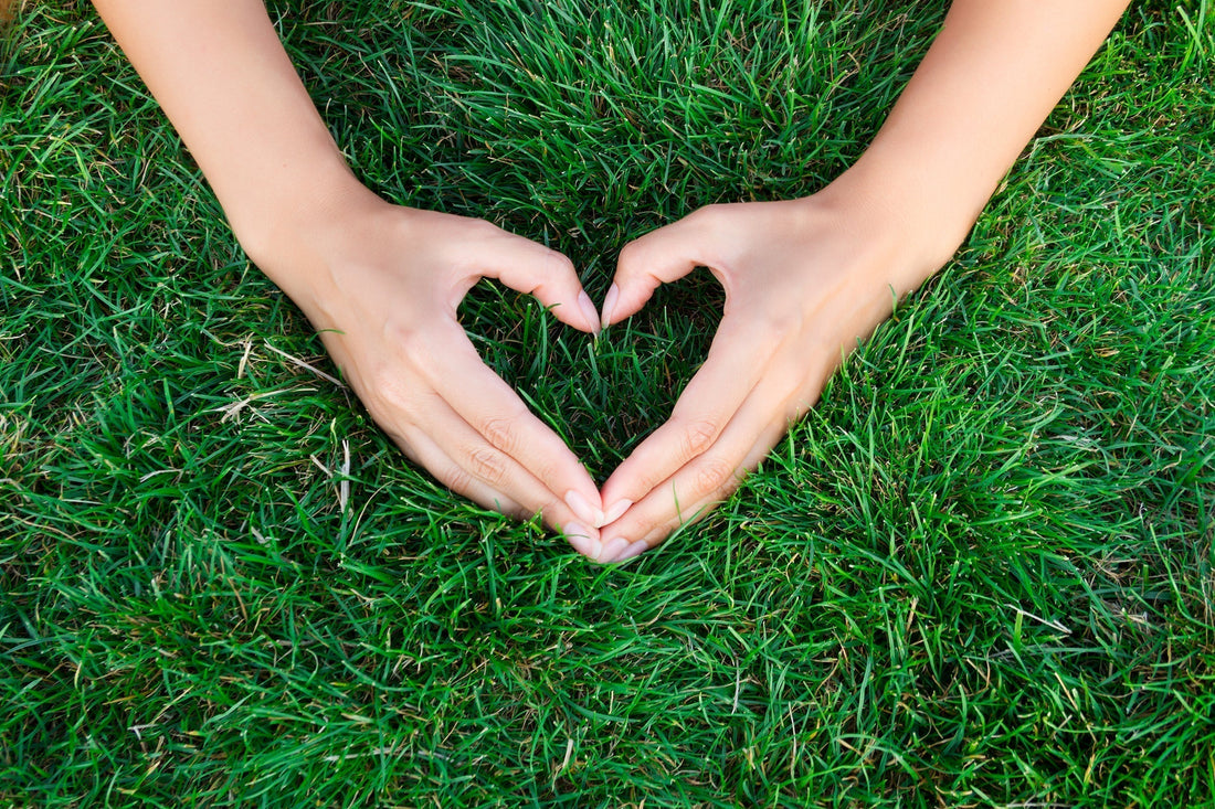 Why choose Greenup for your fertilizing needs?